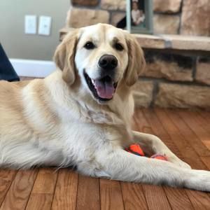 Meet your Posher, Dana